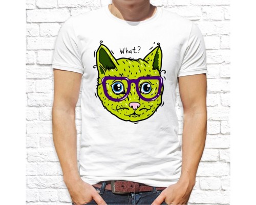 Футболка "Прикольная" 242